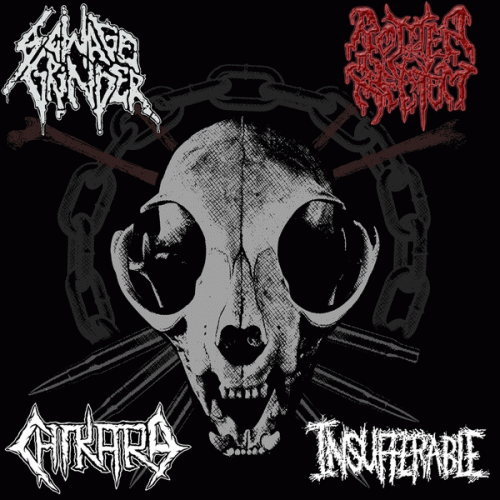 Chikara : Sewage Grinder - Rotten Rectum - Chikara - Insufferable